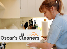 Domestic Cleaners SW3