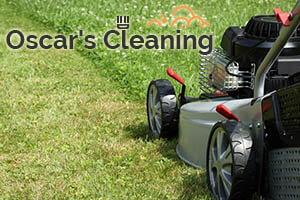 Lawn Care Chelsea