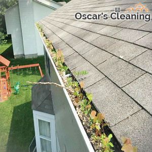 reliable-gutter-cleaning-chelsea